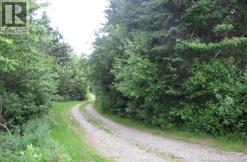 327 Maple Grove Road, Maple Grove, New Brunswick  E6B 2B5 - Photo 4 - NB133932