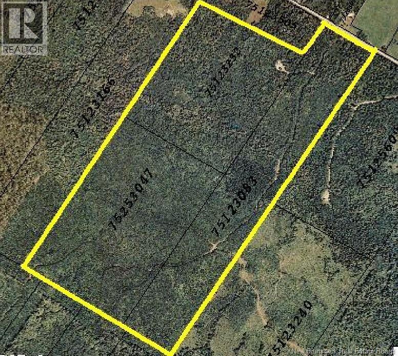 327 Maple Grove Road, Maple Grove, New Brunswick  E6B 2B5 - Photo 9 - NB133932