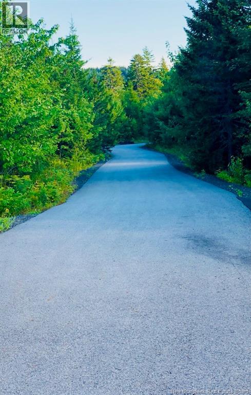 Lot 1191 Route 785, Utopia, New Brunswick  E5C 2L3 - Photo 7 - NB133852