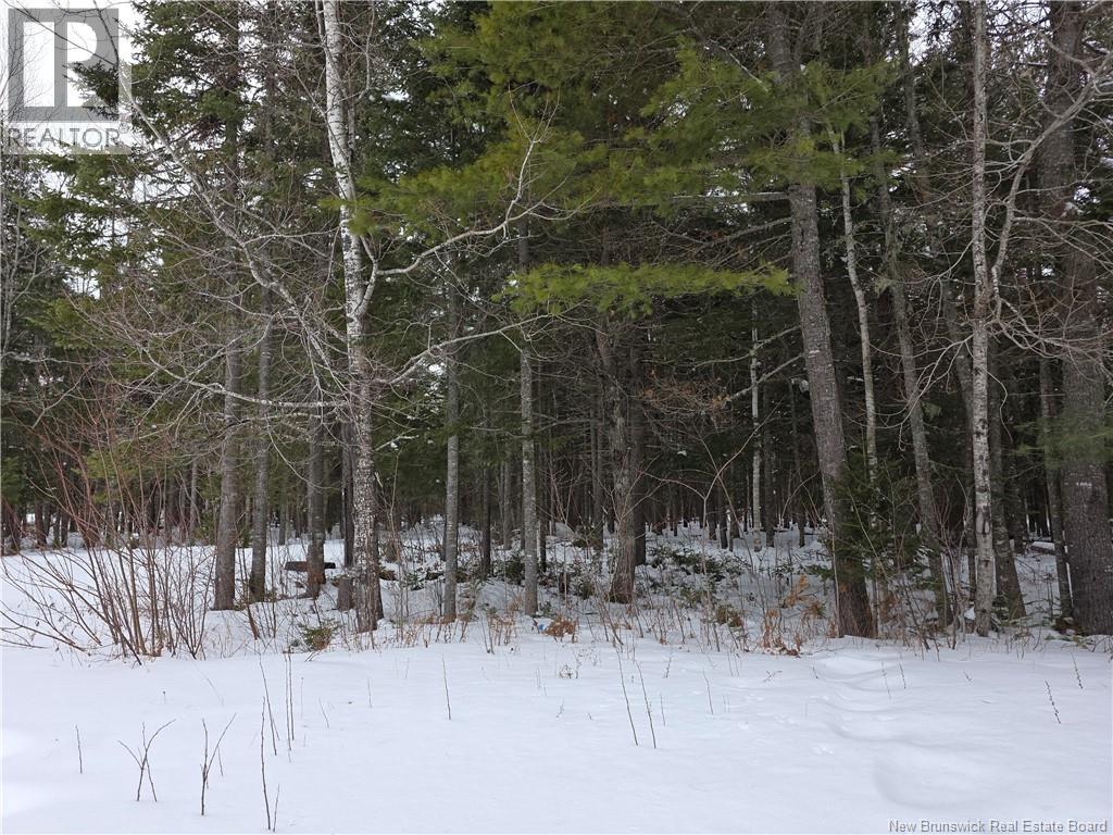 534 Cormier Village Bye Road, Cocagne, New Brunswick  E4R 3B6 - Photo 27 - NB134047