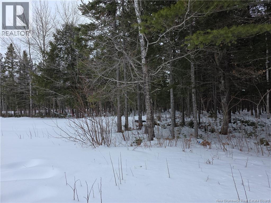 534 Cormier Village Bye Road, Cocagne, New Brunswick  E4R 3B6 - Photo 28 - NB134047
