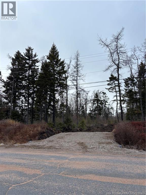 Mink Brook Road, Lepreau, New Brunswick  E5J 1K7 - Photo 2 - NB134050