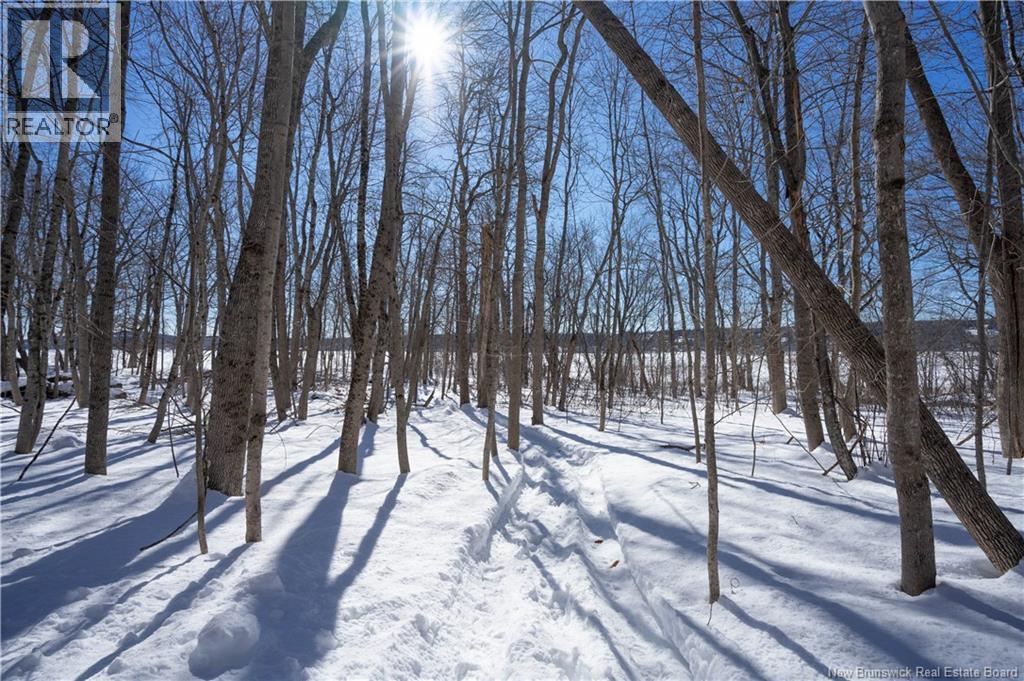 53 Woodmans Point Road, Woodmans Point, New Brunswick  E5K 4R5 - Photo 40 - NB134031