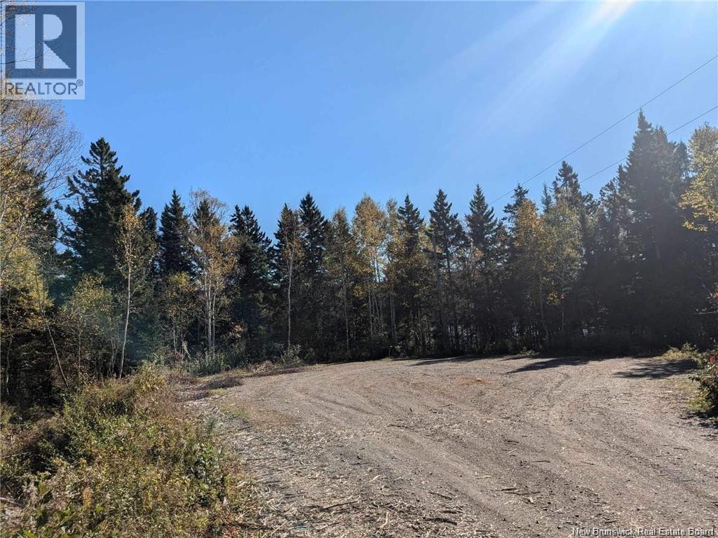 Millstream Court, Campobello Island, New Brunswick