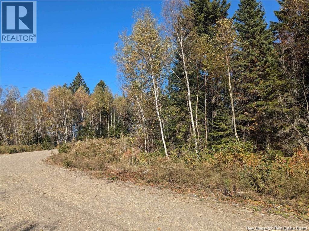 Millstream Court, Campobello Island, New Brunswick E5E 1S5 - Photo 2 - NB133906