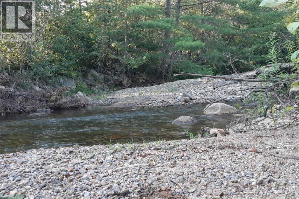 15 Dorn Ridge Road, Burtts Corner, New Brunswick  E6L 2T2 - Photo 24 - NB133379