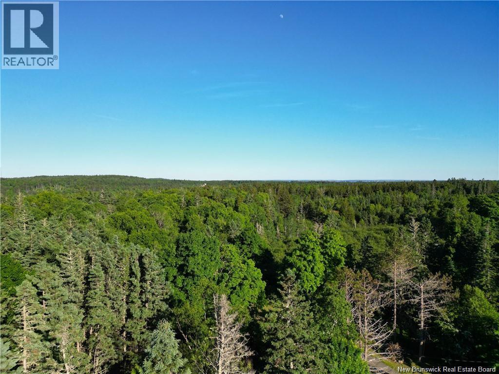 Welshpool Back Road, Campobello, New Brunswick E5E 1G9 - Photo 11 - NB134199
