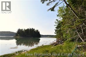 Welshpool Back Road, Campobello, New Brunswick E5E 1G9 - Photo 4 - NB134199