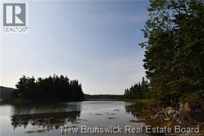 Welshpool Back Road, Campobello, New Brunswick E5E 1G9 - Photo 6 - NB134199