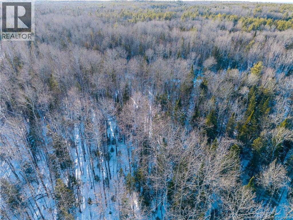 99-19 Route 8, Renous, New Brunswick  E9B 1V1 - Photo 14 - NB134166