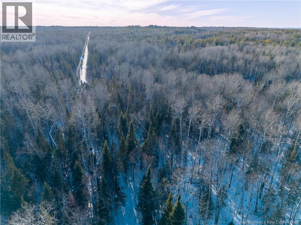 99-19 Route 8, Renous, New Brunswick  E9B 1V1 - Photo 16 - NB134166
