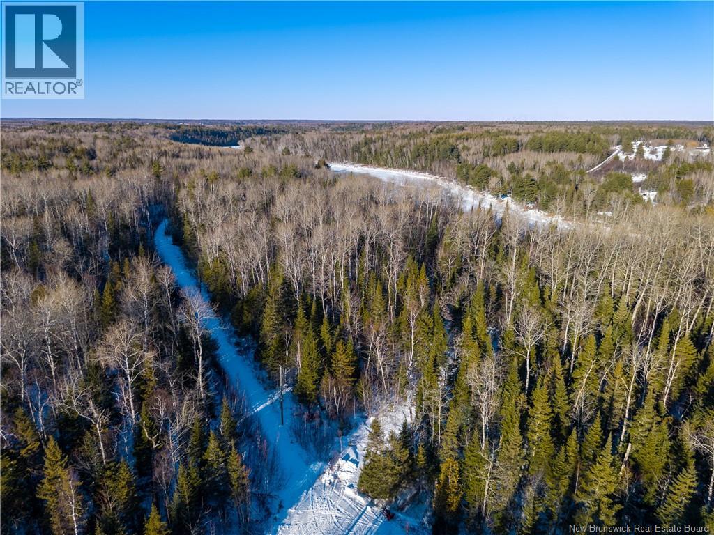 99-19 Route 8, Renous, New Brunswick  E9B 1V1 - Photo 4 - NB134166
