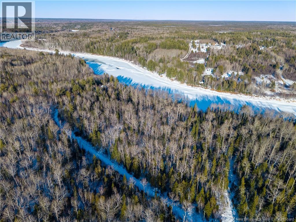 99-19 Route 8, Renous, New Brunswick  E9B 1V1 - Photo 5 - NB134166