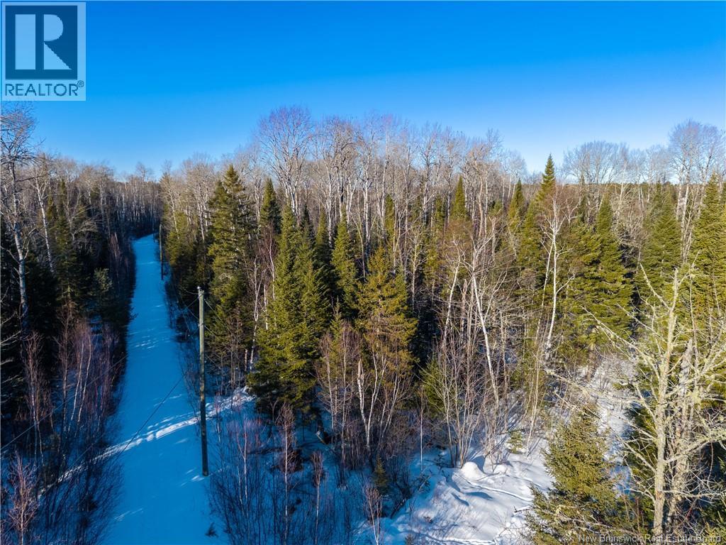 99-19 Route 8, Renous, New Brunswick  E9B 1V1 - Photo 7 - NB134166