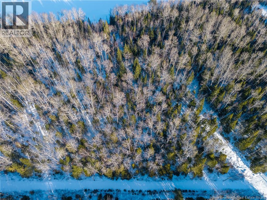 99-19 Route 8, Renous, New Brunswick  E9B 1V1 - Photo 9 - NB134166