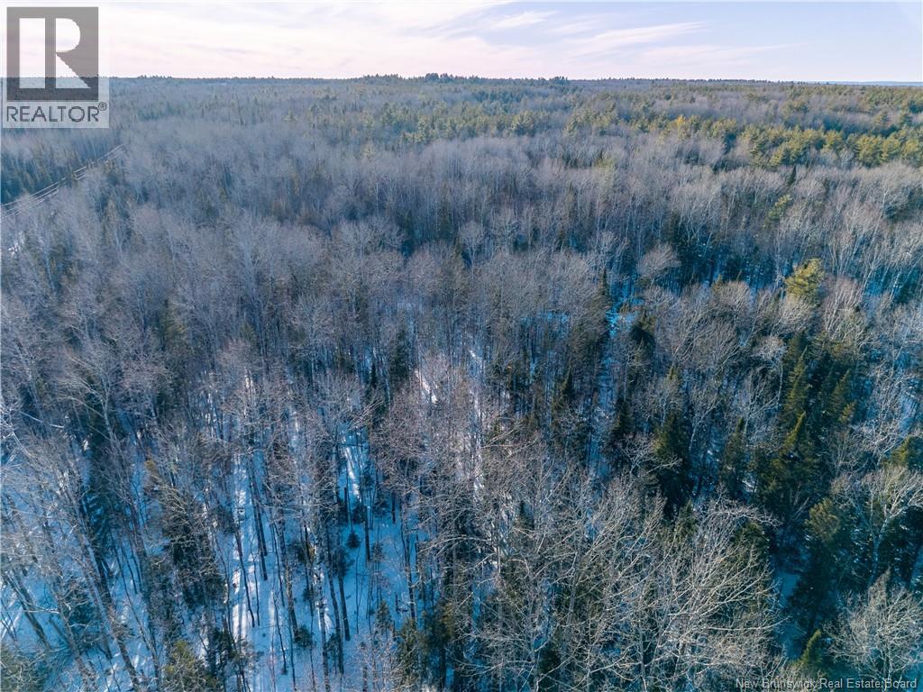 99-18 Route 8, Renous, New Brunswick  E9B 1V1 - Photo 10 - NB134164