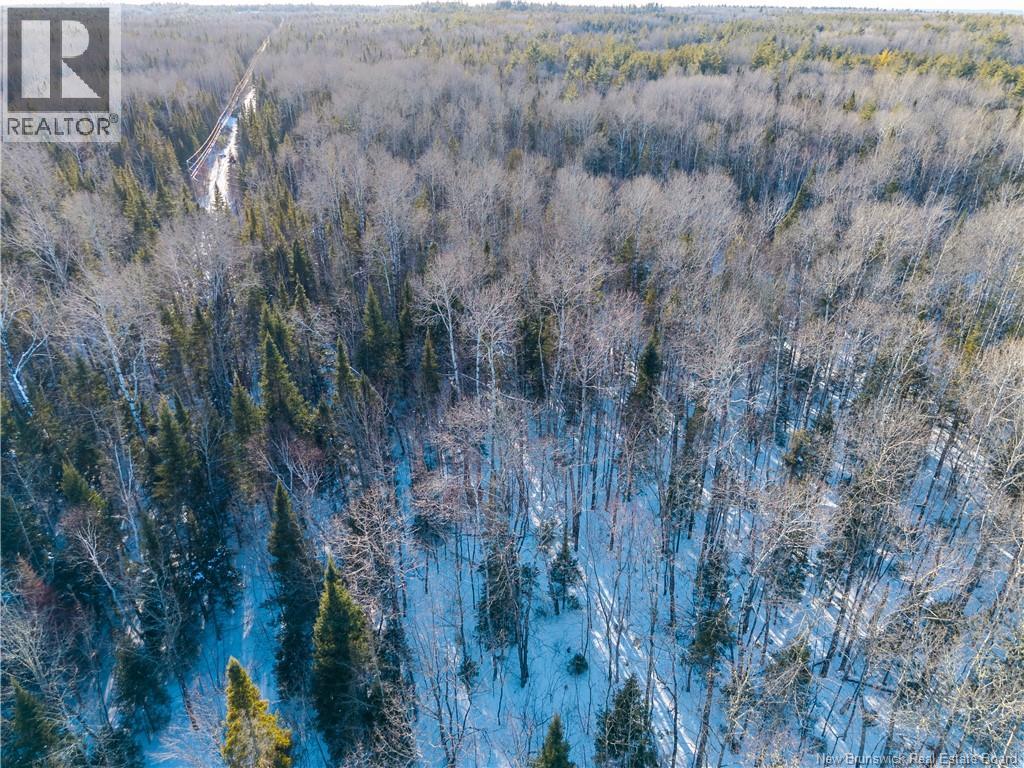 99-18 Route 8, Renous, New Brunswick  E9B 1V1 - Photo 14 - NB134164