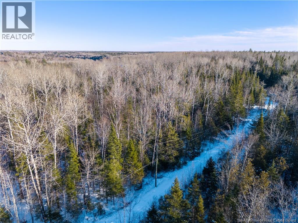99-18 Route 8, Renous, New Brunswick  E9B 1V1 - Photo 3 - NB134164