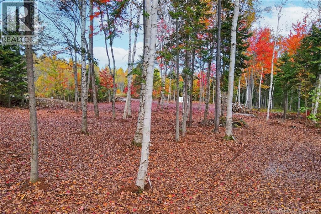 Lot 04-02 690 Route, Flowers Cove, New Brunswick  O0O 0O0 - Photo 10 - NB134143