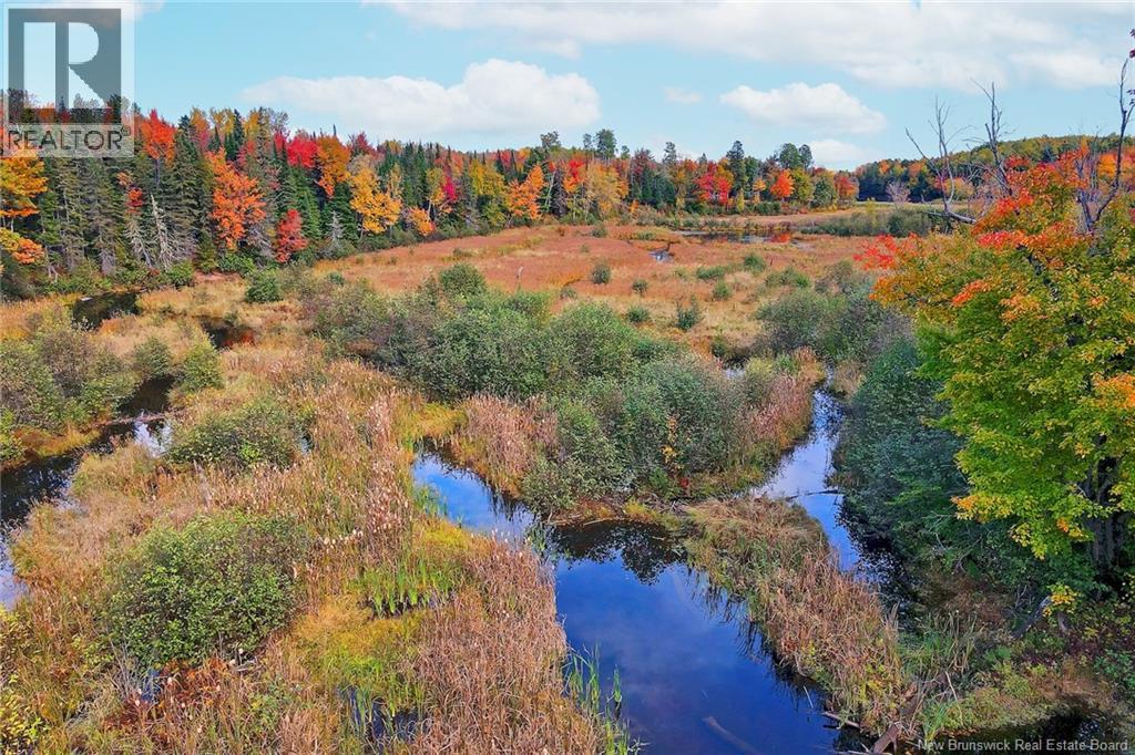 Lot 04-02 690 Route, Flowers Cove, New Brunswick  O0O 0O0 - Photo 19 - NB134143