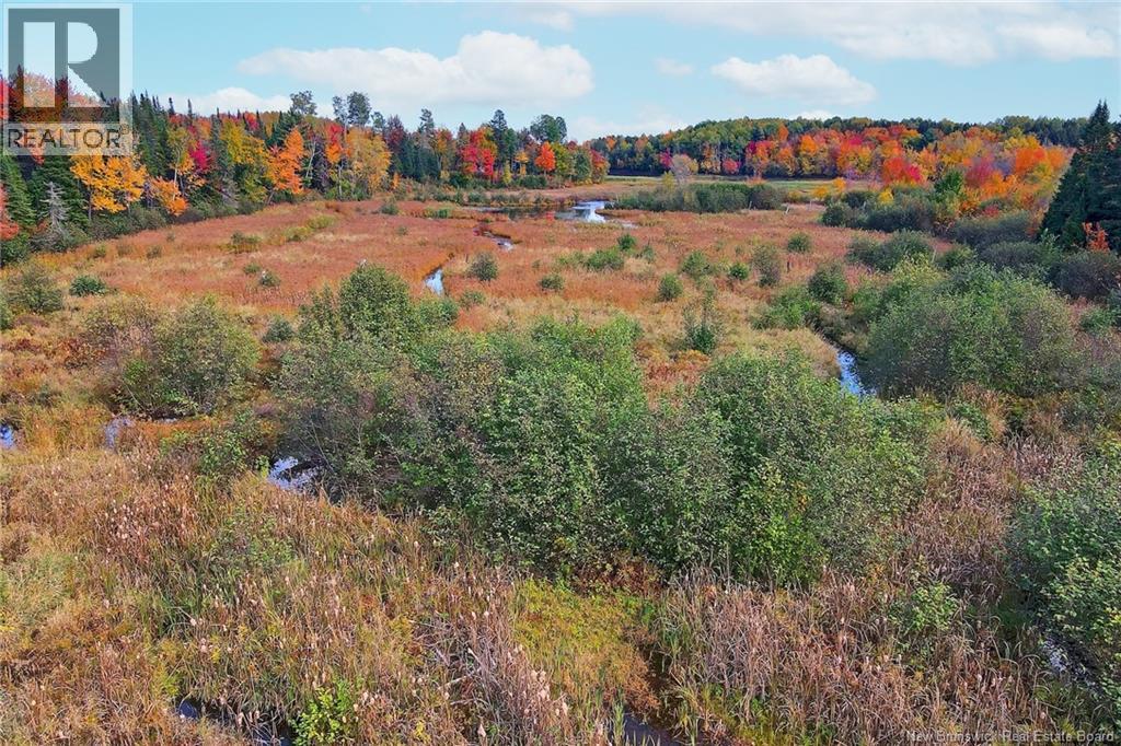Lot 04-02 690 Route, Flowers Cove, New Brunswick  O0O 0O0 - Photo 23 - NB134143