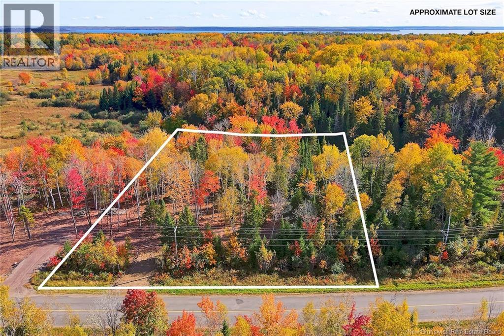 Lot 04-02 690 Route, Flowers Cove, New Brunswick  O0O 0O0 - Photo 3 - NB134143