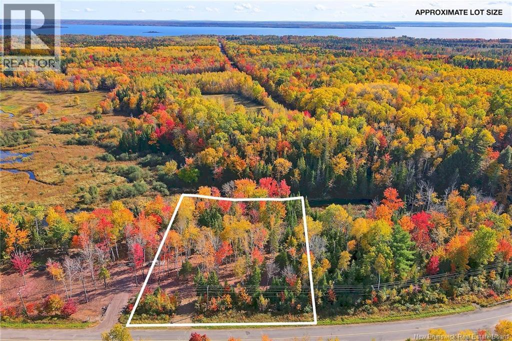 Lot 04-02 690 Route, Flowers Cove, New Brunswick  O0O 0O0 - Photo 4 - NB134143