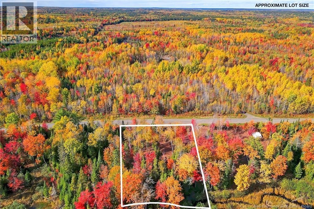 Lot 04-02 690 Route, Flowers Cove, New Brunswick  O0O 0O0 - Photo 5 - NB134143