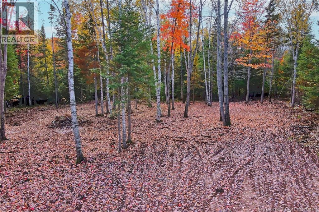 Lot 04-02 690 Route, Flowers Cove, New Brunswick  O0O 0O0 - Photo 8 - NB134143