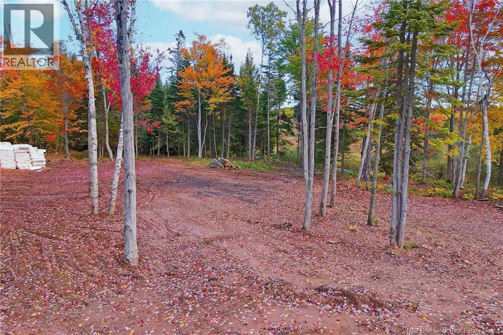 Lot 04-03 690 Route, Flowers Cove, New Brunswick  O0O 0O0 - Photo 10 - NB134129