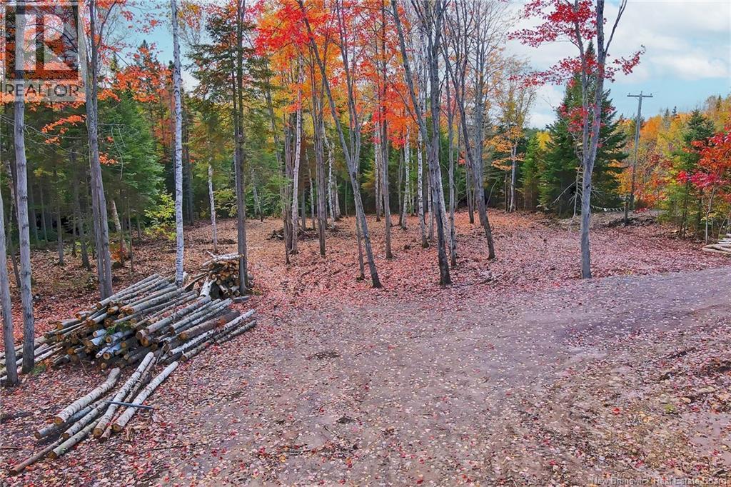 Lot 04-03 690 Route, Flowers Cove, New Brunswick  O0O 0O0 - Photo 11 - NB134129