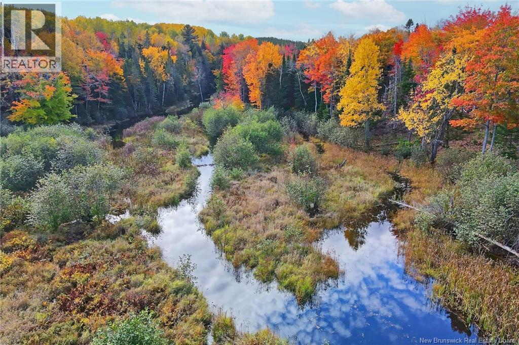 Lot 04-03 690 Route, Flowers Cove, New Brunswick  O0O 0O0 - Photo 14 - NB134129