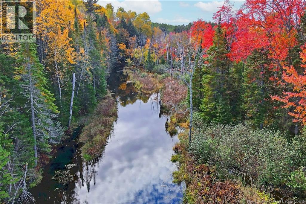 Lot 04-03 690 Route, Flowers Cove, New Brunswick  O0O 0O0 - Photo 16 - NB134129
