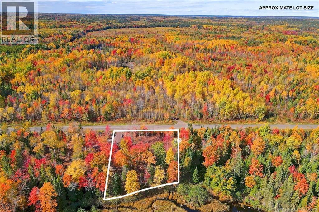 Lot 04-03 690 Route, Flowers Cove, New Brunswick  O0O 0O0 - Photo 5 - NB134129