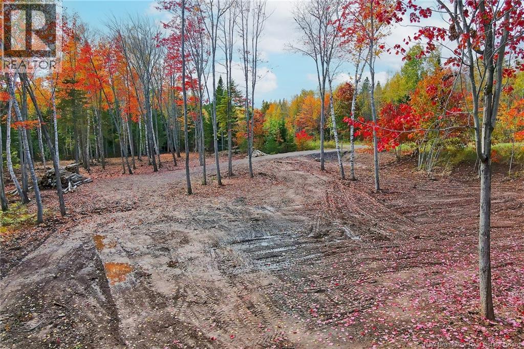 Lot 04-03 690 Route, Flowers Cove, New Brunswick  O0O 0O0 - Photo 8 - NB134129