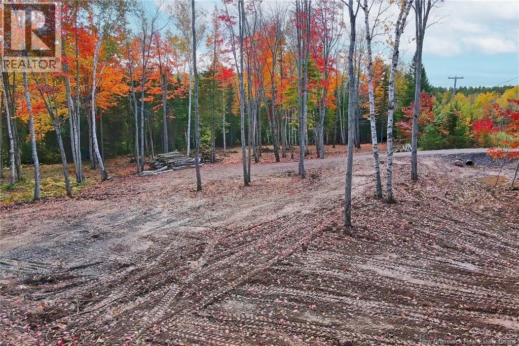 Lot 04-03 690 Route, Flowers Cove, New Brunswick  O0O 0O0 - Photo 9 - NB134129