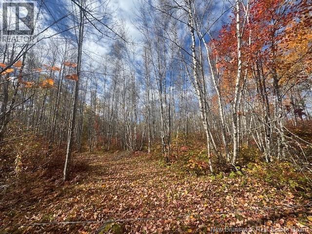 36 Vacation Lane South, Canaan, New Brunswick  E4Z 3S1 - Photo 10 - NB134207