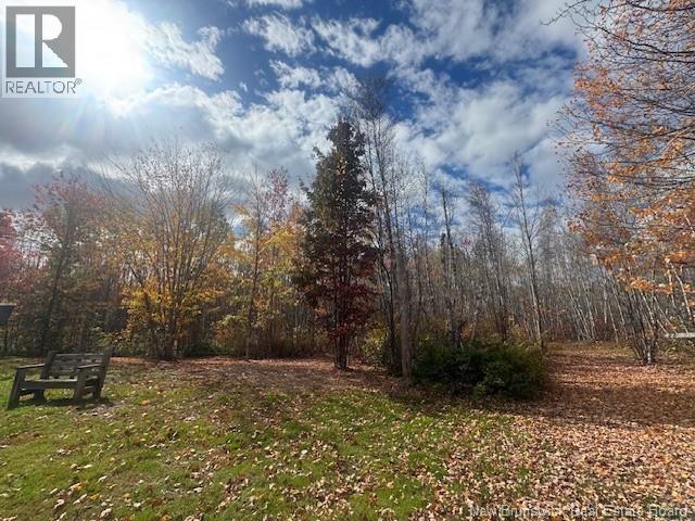 36 Vacation Lane South, Canaan, New Brunswick  E4Z 3S1 - Photo 11 - NB134207