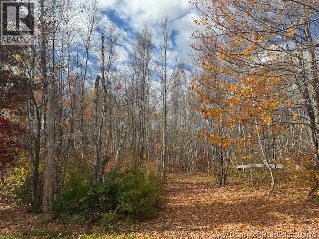 36 Vacation Lane South, Canaan, New Brunswick  E4Z 3S1 - Photo 12 - NB134207