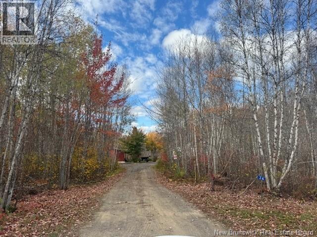 36 Vacation Lane South, Canaan, New Brunswick  E4Z 3S1 - Photo 7 - NB134207