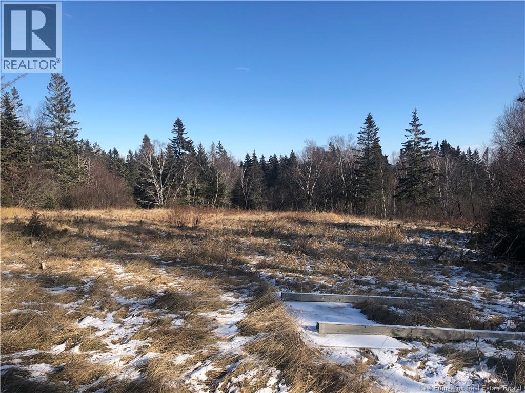 Lot 23-1 Route 114, Hopewell Hill, New Brunswick  E4H 3J3 - Photo 4 - NB134251