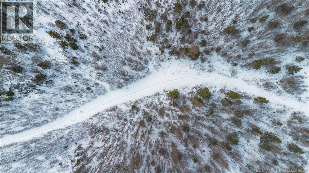 10552 Route 10, Youngs Cove, New Brunswick  E4C 2E2 - Photo 11 - NB134242