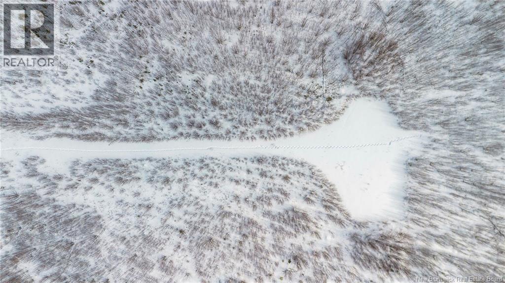 10552 Route 10, Youngs Cove, New Brunswick  E4C 2E2 - Photo 12 - NB134242