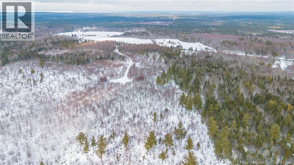 10552 Route 10, Youngs Cove, New Brunswick  E4C 2E2 - Photo 14 - NB134242