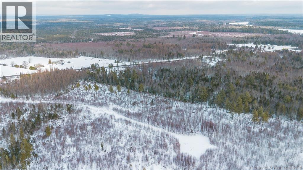 10552 Route 10, Youngs Cove, New Brunswick  E4C 2E2 - Photo 16 - NB134242
