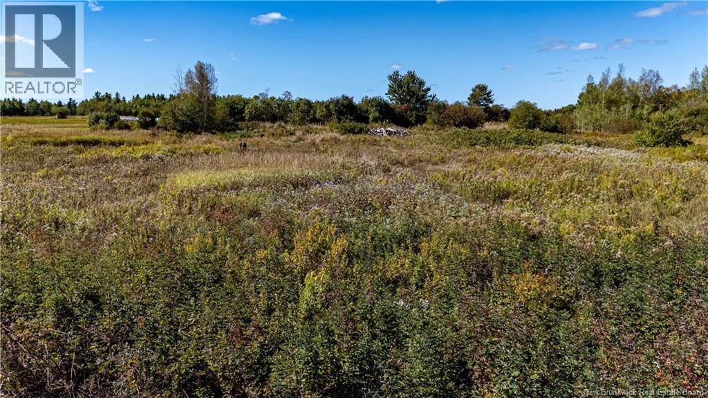 Lot Route 515, Saint-Paul, New Brunswick  E4T 3P4 - Photo 5 - NB133866