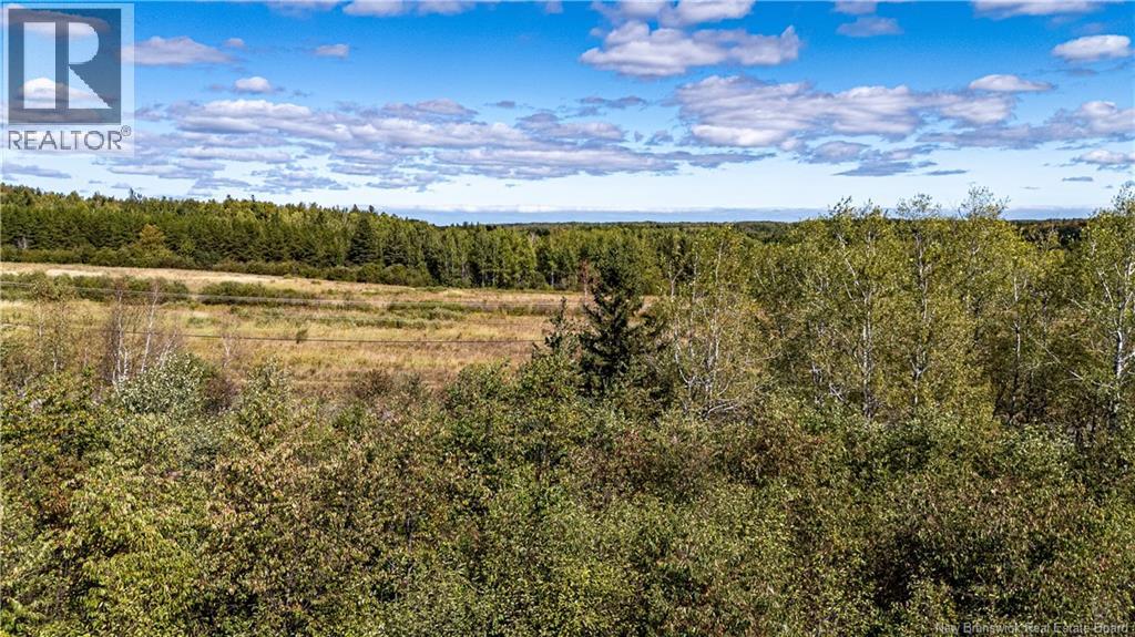 Lot 79-10 De La Traverse, Saint-Paul, New Brunswick  E4T 3M6 - Photo 19 - NB133865