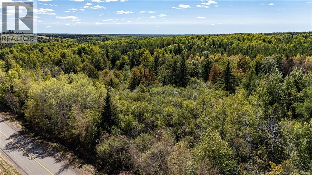 Lot 79-10 De La Traverse, Saint-Paul, New Brunswick  E4T 3M6 - Photo 25 - NB133865