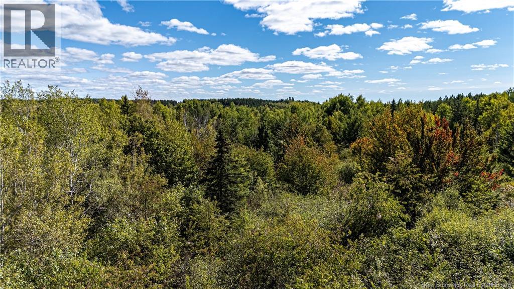 Lot 79-9 De La Traverse, Saint-Paul, New Brunswick E4T 3M6 - Photo 26 - NB133864