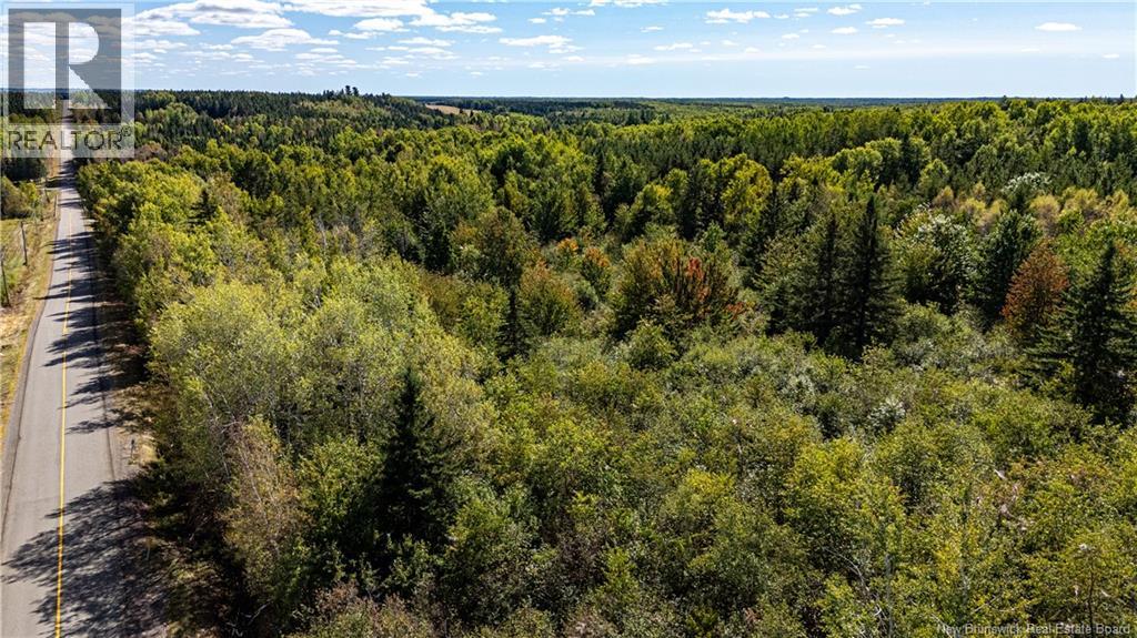 Lot 79-9 De La Traverse, Saint-Paul, New Brunswick E4T 3M6 - Photo 27 - NB133864